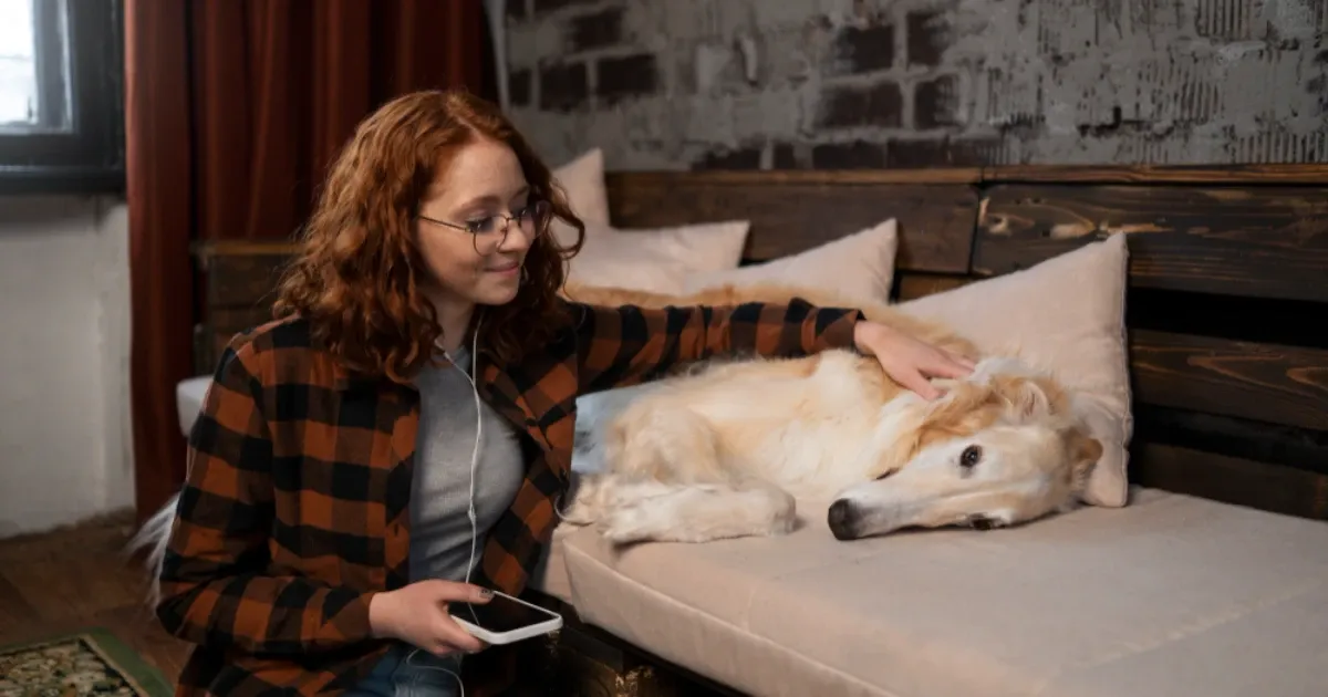 Hospedagem para cachorro: tudo o que você precisa saber